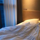 아이비씨호텔 이미지