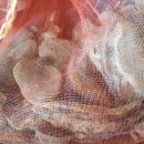 만물백화점 이미지