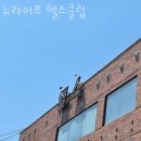 뉴라이프헬스클럽 | 내동헬스장 서구 대전 헬스 PT pt 피티 뉴라이프 헬스클럽 가격 위치 소개