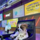 쇼골프 도봉점 이미지