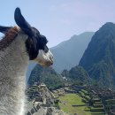 마츄피츄 이미지