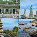 순금농장 | 양양 여행 강원 현남면 바다 사찰 휴휴암, 지혜관세음보살상 조우 늦은 기록