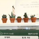 죽하우스늘봄 이미지