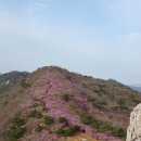 여수 영취산 진달래 산행 및 오동도/진남관 둘러보기 (2016.4.4.월-4.5.화)...무박2일 이미지