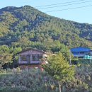이명산농장 네이버블로그