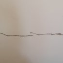 대구 힐스테이트황금역리저브2단지 최고급 프리미엄 규조토 탄성코트 천장 이음새 하자 보수 시공 후기