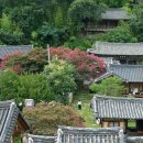 옥계천 | 경북 성주 ‘고요한 휴가’
