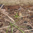 양심농장 이미지