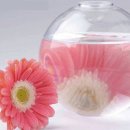 풀잎마을 이미지