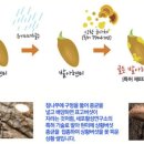 (주)세포활성연구소