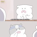 더차우 - 제천시 대학로 251 | 더차우