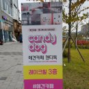 캔디독 이미지