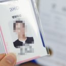 서울애견 미용실 이미지