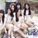 디알컴퍼니(DR company) 이미지
