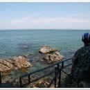 돌고래횟집 이미지