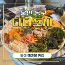 수도로포차 | 울산 동구 맛집 다다포차 신선함이 남다른 3대째 해녀집 해물모듬 후기