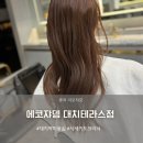 대치역미용실 에코쟈뎅 대치 테라스점 헤아 부실장 시세이도크리닉 후기