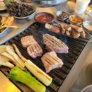 수원-1438 이미지