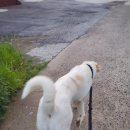 어강동물병원 이미지