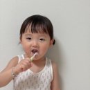 마크트웰브 | 아기 첫칫솔 추천 더트웰브 아기칫솔