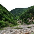 화산목장 이미지