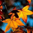 광주광역시립민속박물관 이미지