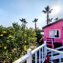 오월펜션 이미지