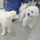 바우라움 - 광진구 아차산로 378 | 호텔링 후기 2) 바우라움 호텔링 생활