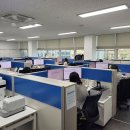 세무법인선택안 이미지