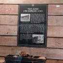 대전역 명품 행정사사무소 | 부산 사람 대전역 성심당 첫 후기 튀김소보로 부추빵
