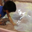 파파월드 이미지