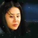 2005년 KBS, SBS, MBC 연기대상<대상> 후보 살펴보기(강력후보 BEST) 이미지