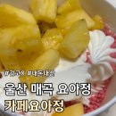 카페요아정울산 이미지