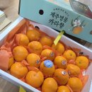 즐기는 인생/ 시 이미지