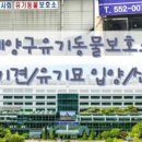 신영재동물병원 네이버블로그