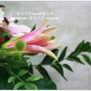 백합PC 이미지