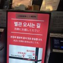 &lt;서울 종로&gt; 광장시장 육회 맛집 미슐랭 부촌육회 후기(내돈내산)