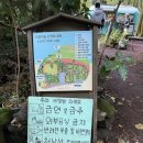 [제주 스냅] 제주도 가성비 스냅 "다즐스냅" /결혼기념일 스냅/캐주얼 스냅/내돈내산