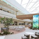 풀무원푸드앤컬처 | 풀무원푸드앤컬처, 그룹 '알짜 계열사' 도약