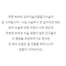 마음반려 동물의료원 네이버블로그