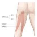 Jfit 이미지