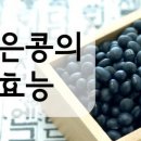 검정콩의 효능 이미지