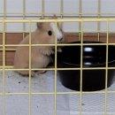 특별한동물가게 평택점 이미지