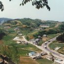 정라초등학교 이미지