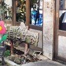 (주)솔밭 | 내돈내산, 광주동명동맛집 솔밭솥밥 솔직후기