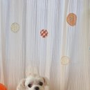 작고 소중해 이미지