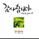 슈바이쯔 네이버블로그