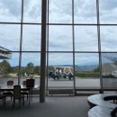 그린골프 | 일본 시즈오카 2인 3박4일 골프 후기⛳(다이아타미/나카이즈그린/리버후지)