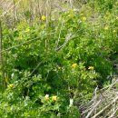 작지만큰농장 이미지