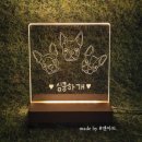 심쿵하개 애견미용 이미지